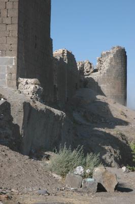 Diyarbakir wall 2636