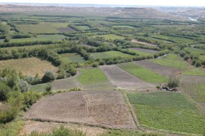 Diyarbakir surrounding country 3071