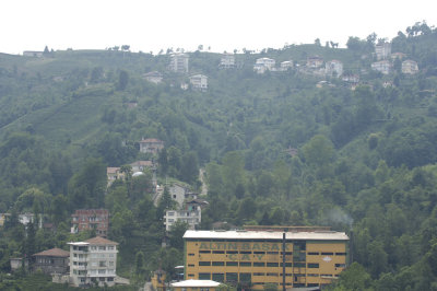 Rize 4482.jpg