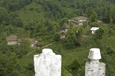 Rize 4501.jpg