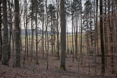 view of Spessart