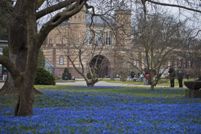 Botanical Garten Karlsruhe