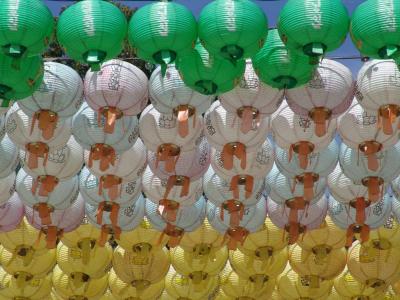 Lanternes at Buddha birthday