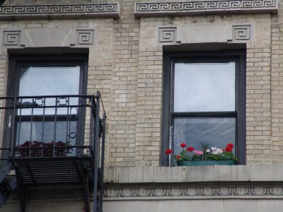 flowers on window