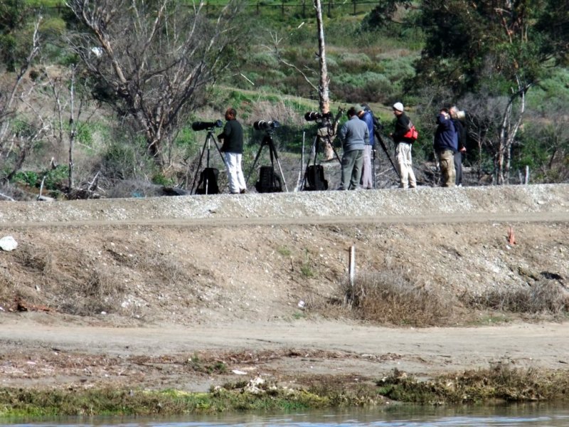 Serious Photographers Here
