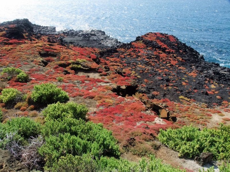 San Cristobal Island - Breeding grounds of the Red-footed Boobies