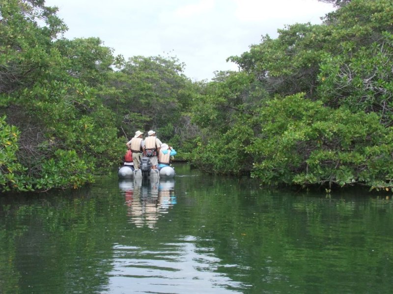 Navigating through Black Turtle Cove on Santa Cruz Island