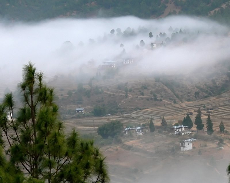 Punaka in the Early Morning Mist