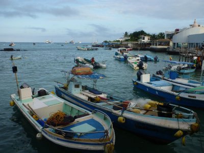The port of Ayora on Santa Cruz Island