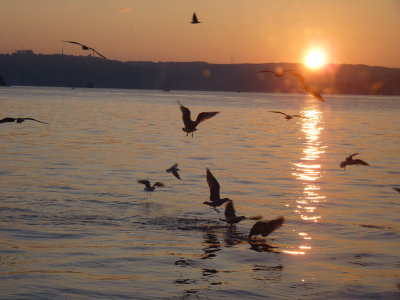 Sunset meal on the Bosphorus