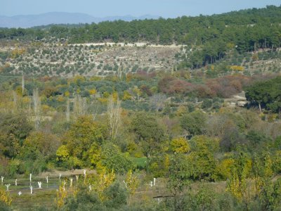 The Drive From Aphrodisias to Pamukkale - Nov 13, 2011