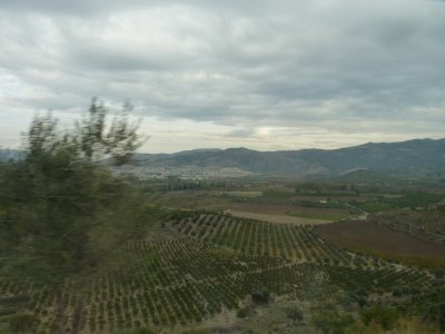 The Temple of Artemis - Nov 14, 2011