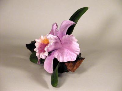Cattleya Orchid