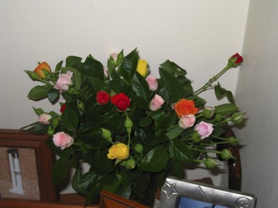 IMG_0341.jpg