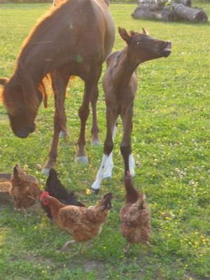 cute to be just 2 days old