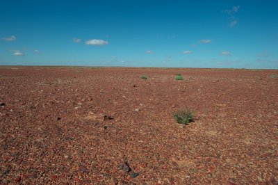 Stony Desert4.jpg