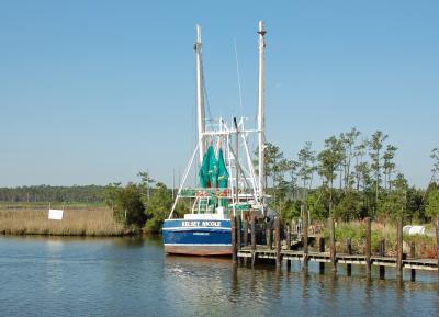 Boats that Shrimp or Fish