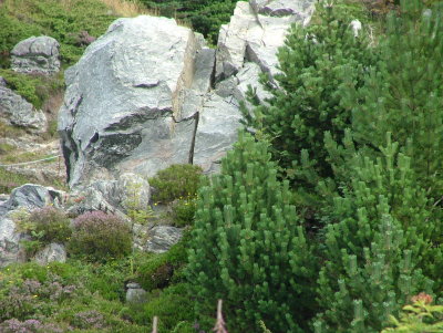 The RongeSund Witch (Kjerringa)at Toftoey-WestCoast of Norway-Oeygaarden-Discovered and named by Roald Atle Furre