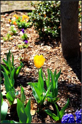 IMG_3382.jpg