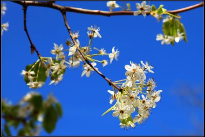 IMG_3436.jpg