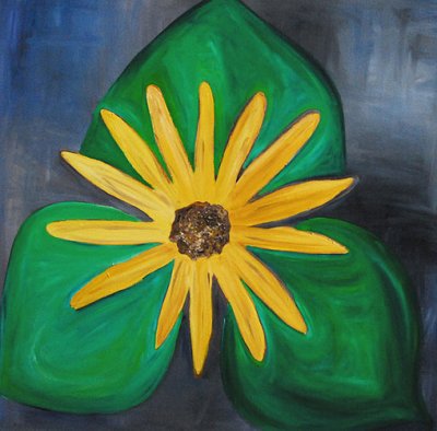 Yellow Daisy Oils