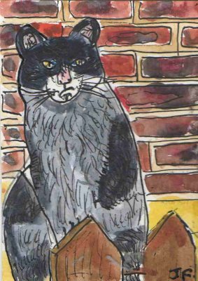 ACEO Cat On A Fence Original watercolour pen and ink