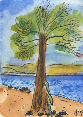 ACEO Palm Tree On Sandy Beach