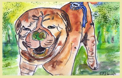 Bull dog Type in Watercolour pen and ink