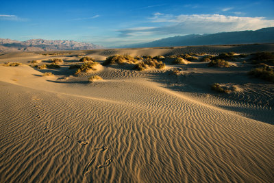 dunes-Death Valley