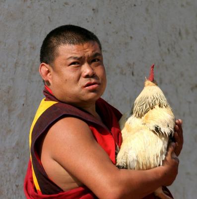 A monk and his chicken, Trongsa, Bhutan