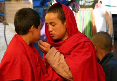 young monks-Bhutan