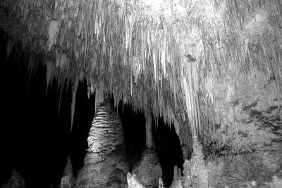 Carlsbad caverns 2
