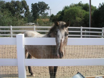 RANCH 016.jpg