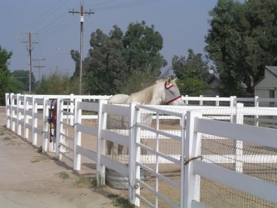 RANCH 017.jpg
