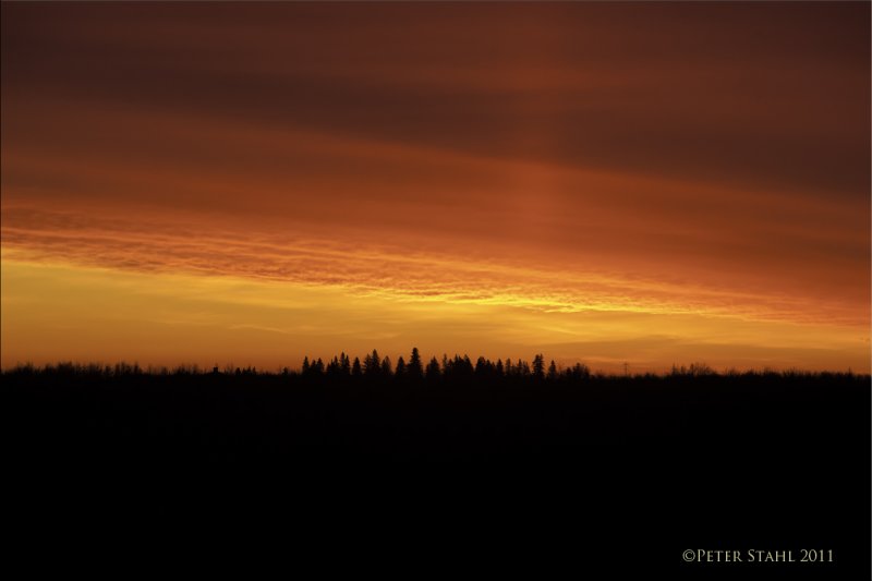 Sunrise.jpg