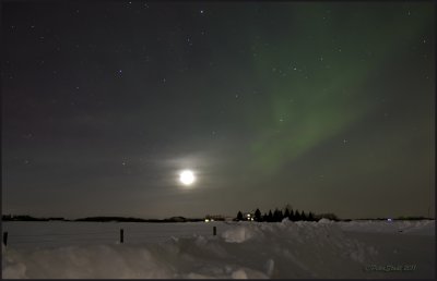 Northern Lights3.jpg