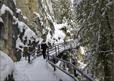 Johnston canyon trail leading in.jpg