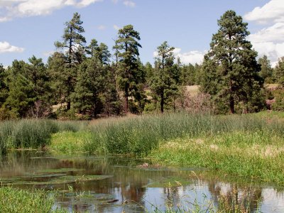 Flagstaff 8_5_11 158.jpg