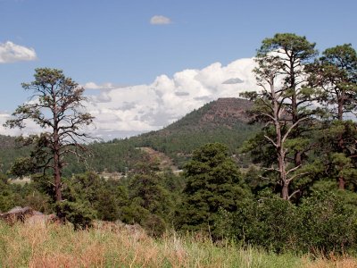 Flagstaff 8_5_11 164.jpg