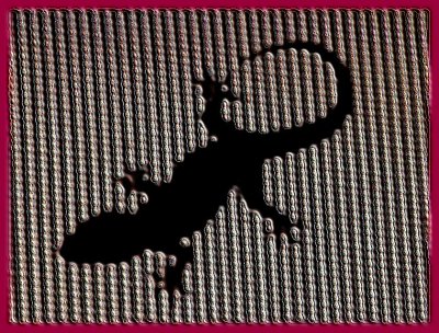 Gecko 1 enamaled.jpg