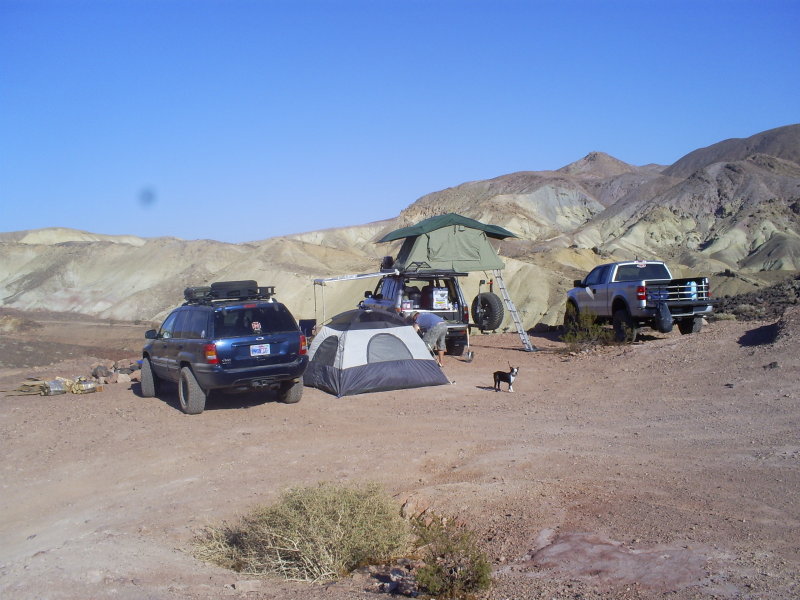 #12 - Calico CA
