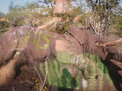 Elephant killed by poachers