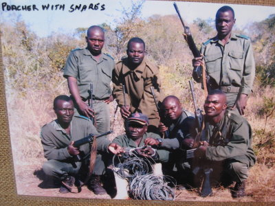 One poacher has been arrested