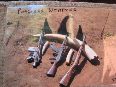 Poachers Weapons