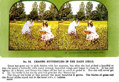 Daisies.jpg