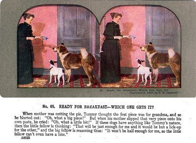 Dogs .jpg