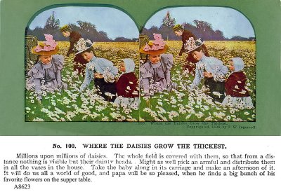 Flowers.jpg