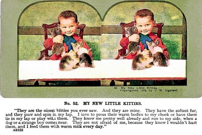 Kittens copy.jpg