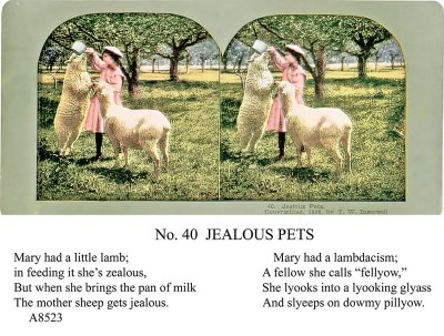 Lamb .jpg