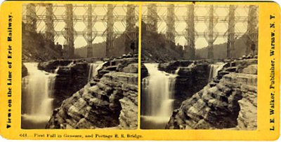near the falls.jpg